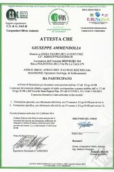 giuseppe-ammendolia-1