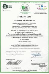 giuseppe-ammendolia-2