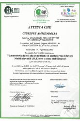 giuseppe-ammendolia-3