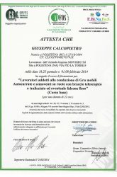 giuseppe-calcopietro-4