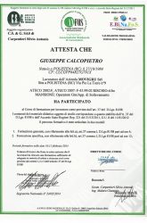 giuseppe-calcopietro-5